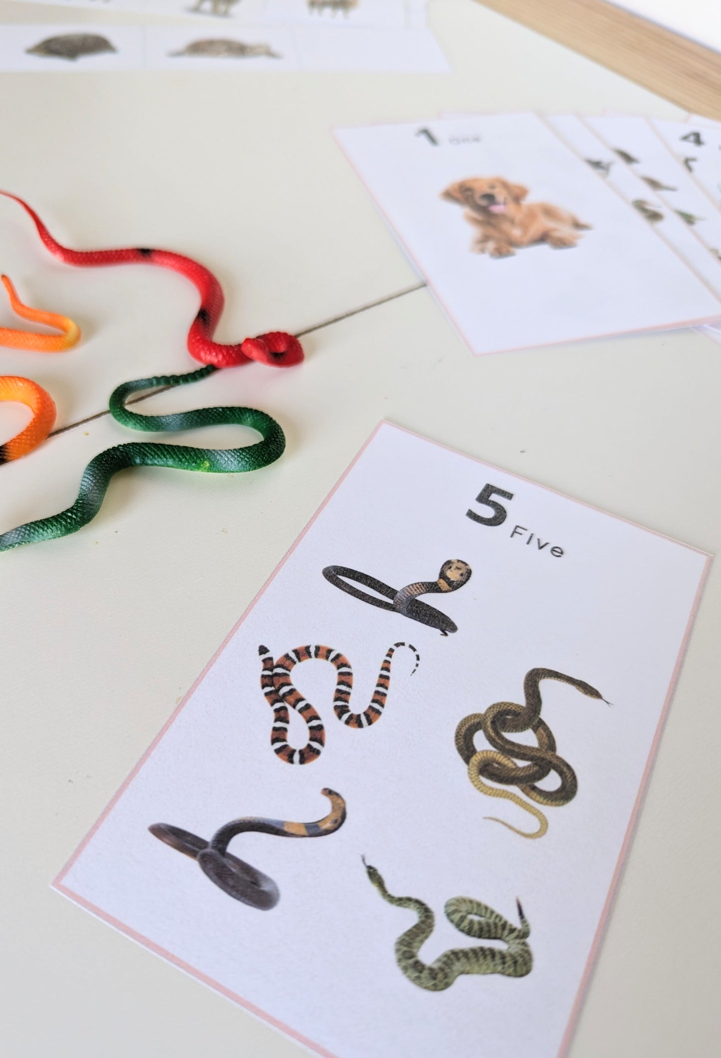 A4 Animal Counting Cards and match the animals activity